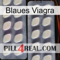 Blaue Viagra 07